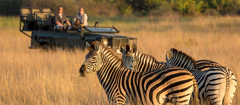 A Day on Safari | African Travel, Inc.