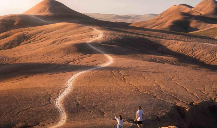 Traverse the desert trails and immerse yourself in the stunning scenery of rugged landscapes.