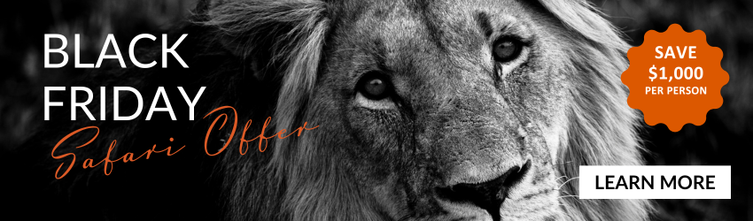 Black Friday Safari Offer Save $1,000pp