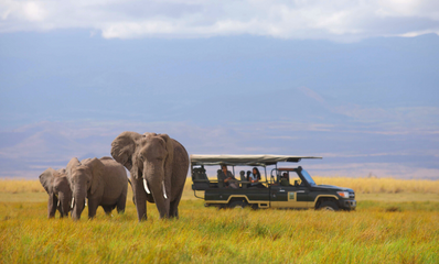 Luxury safari Kenya