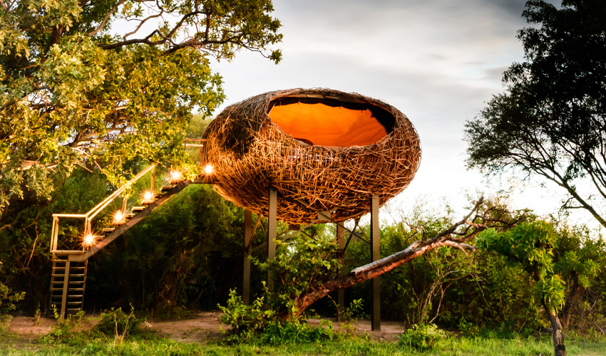 Busanga Bush Camp Kafue National Park