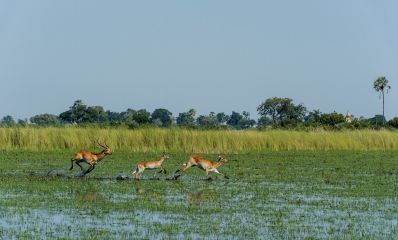 Botswana