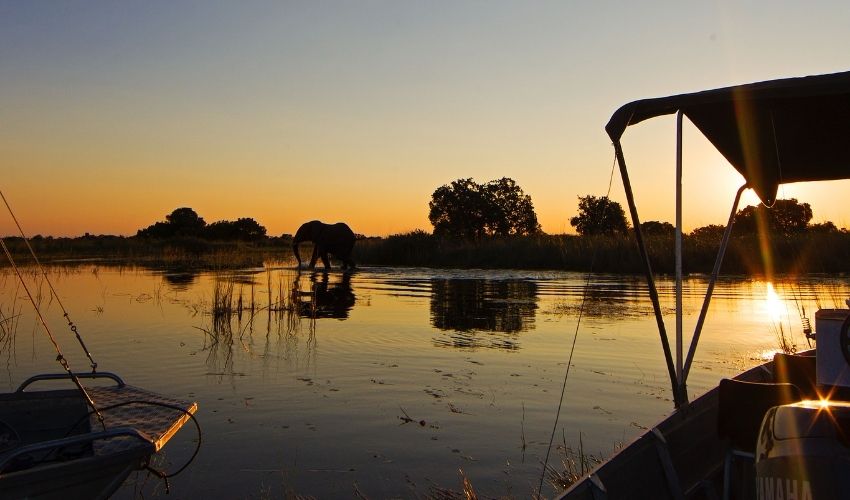 Camp Okavango, Luxury Botswana Safari