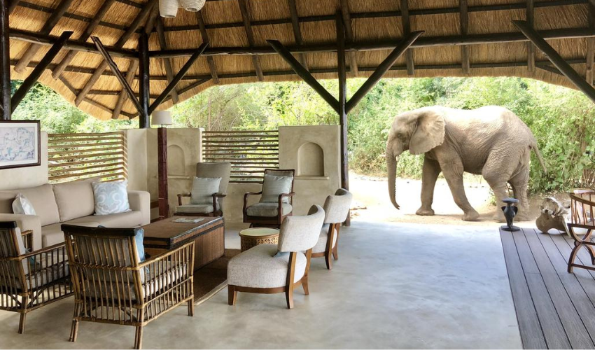 Zambia Luxury Safari Lodge