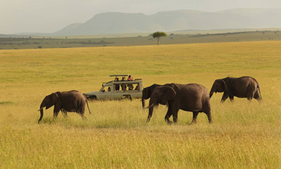 Classic Collection safaris