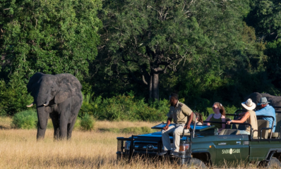 Sabi Sabi game drive with elephants