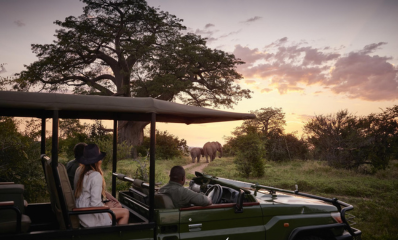 Game Drive at Victoria Falls River Lodge