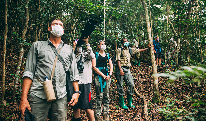 Hiking to see chimpanzees