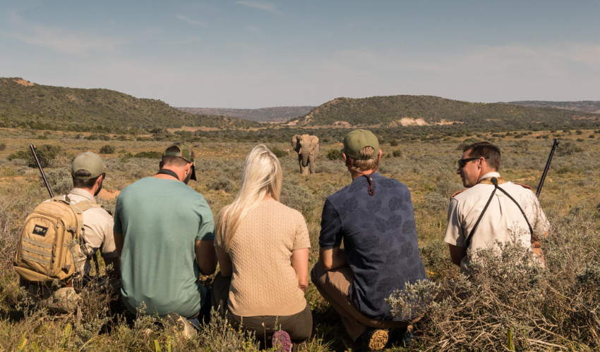 Guided Walking Safari at Shamwari Private Game Reserve