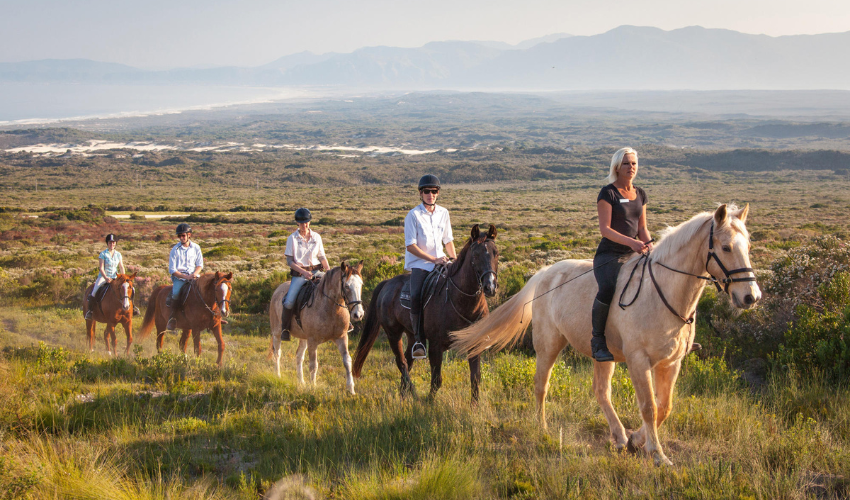 Experience Horse Riding at its best at Grootbos