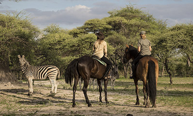 Horse Riding Safari in Botswana