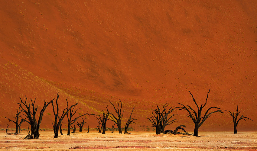 Deadvlei Dune, Photo Credit: Kwessi Dunes
