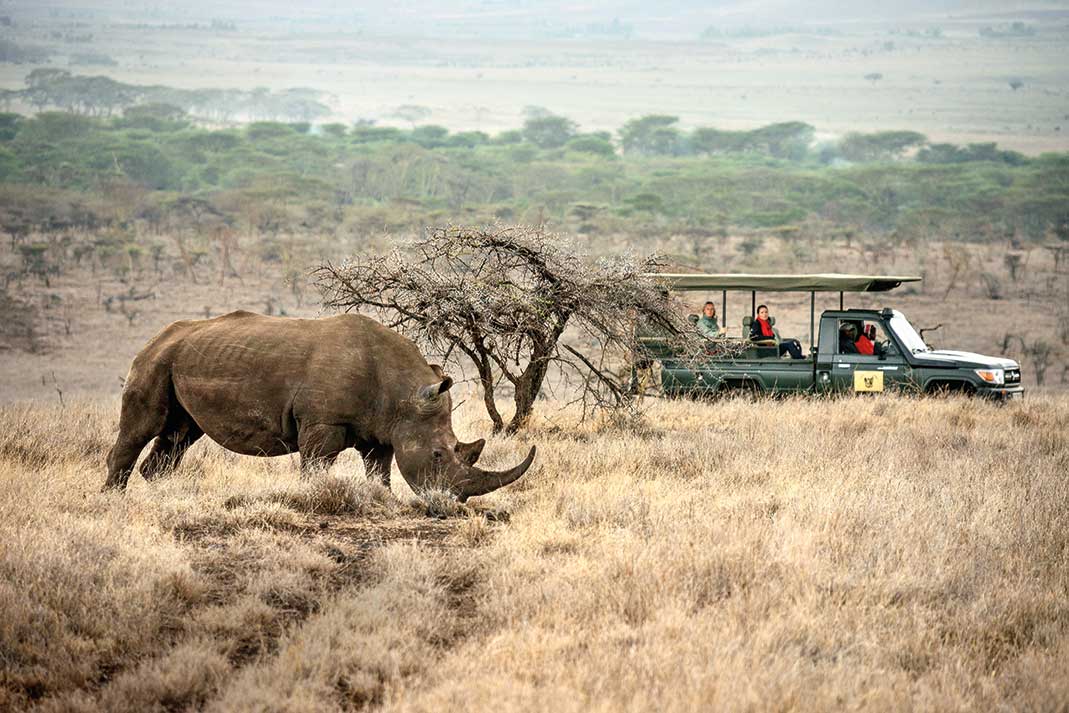 Conservation in Action
