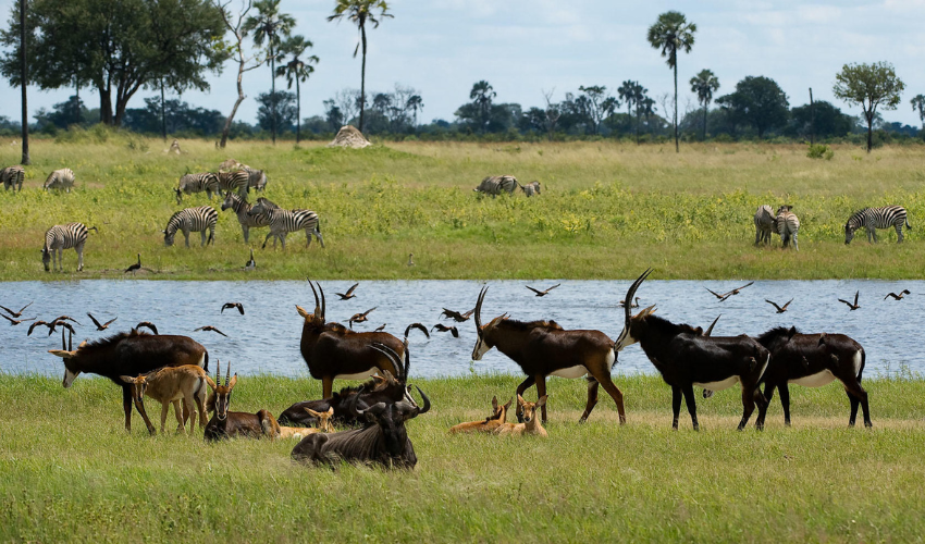 Hwange National Park