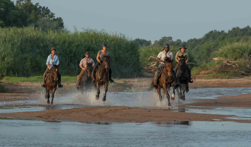 Surrounded by a multitude of Africa's flora and fauna, come and explore this breath-taking terrain from horseback,.