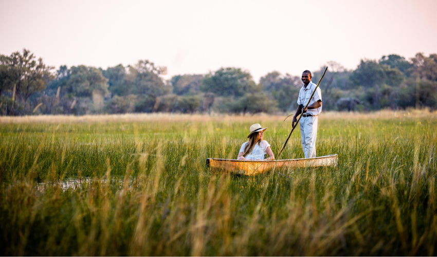 Mokoro Through The Okavango Delta
