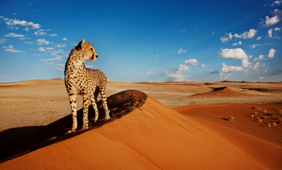 Namibia