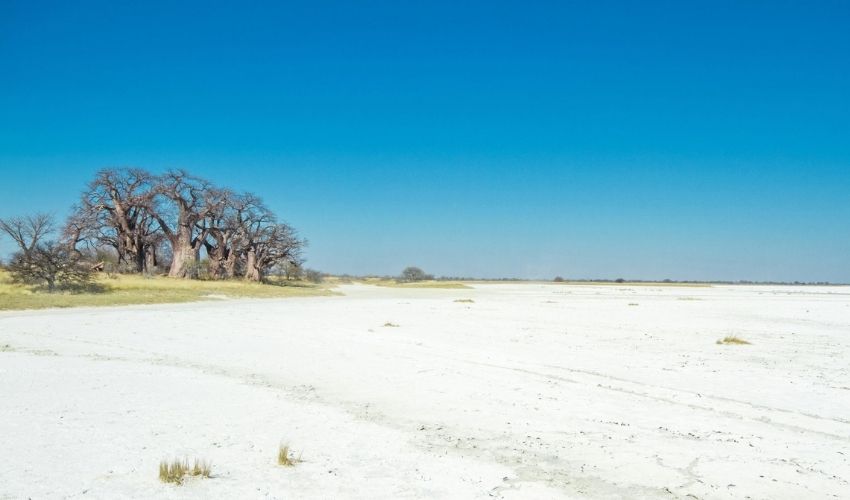 Nxai Pan, Luxury Botswana Safari