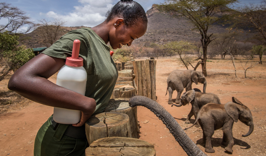 Reteti Elephant Sanctuary