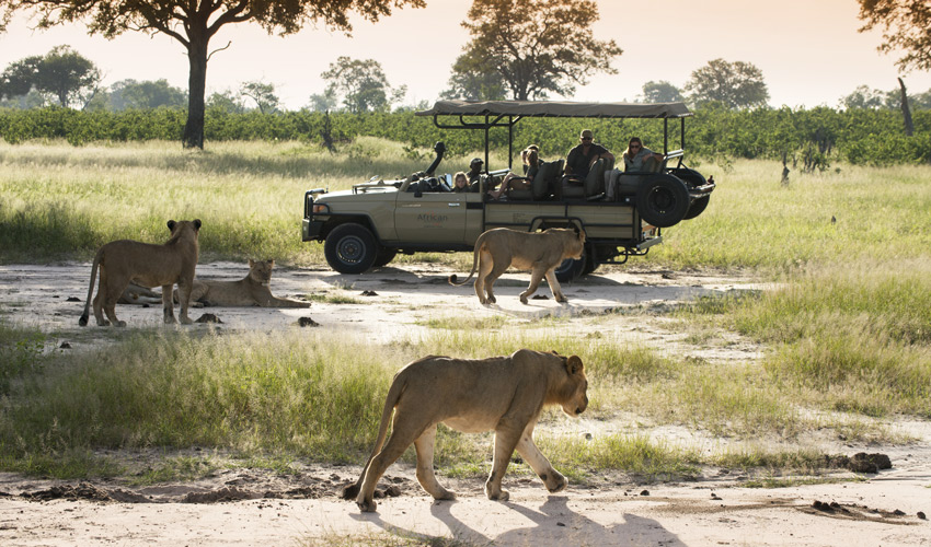 Victoria Falls River Lodge