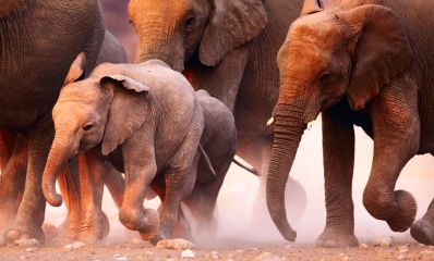 South Africa