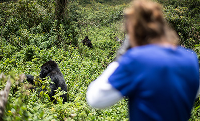 Tanzania