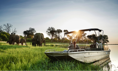There is no finer way to witness wildlife than from the tranquil waters of the Chobe River from the comfort of one of our custom-designed riverboats.