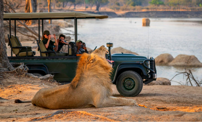 South Luangwa Luxury Safari