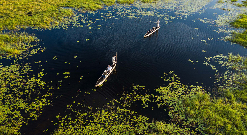Gliding in a mokoro on the Okavango Delta
