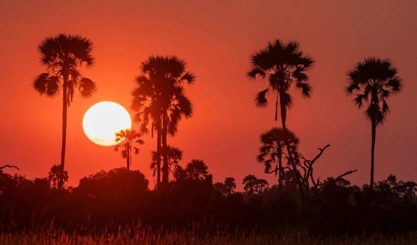 Sunset Botswana Luxury Safari