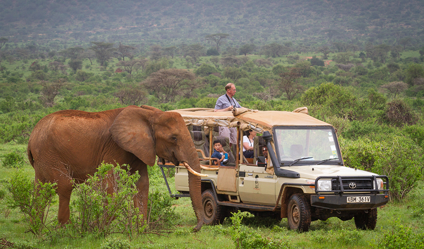 Elephant Bedroom Camp Kenya