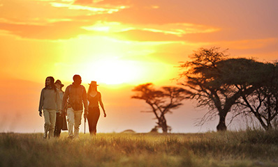 family walking safari experience