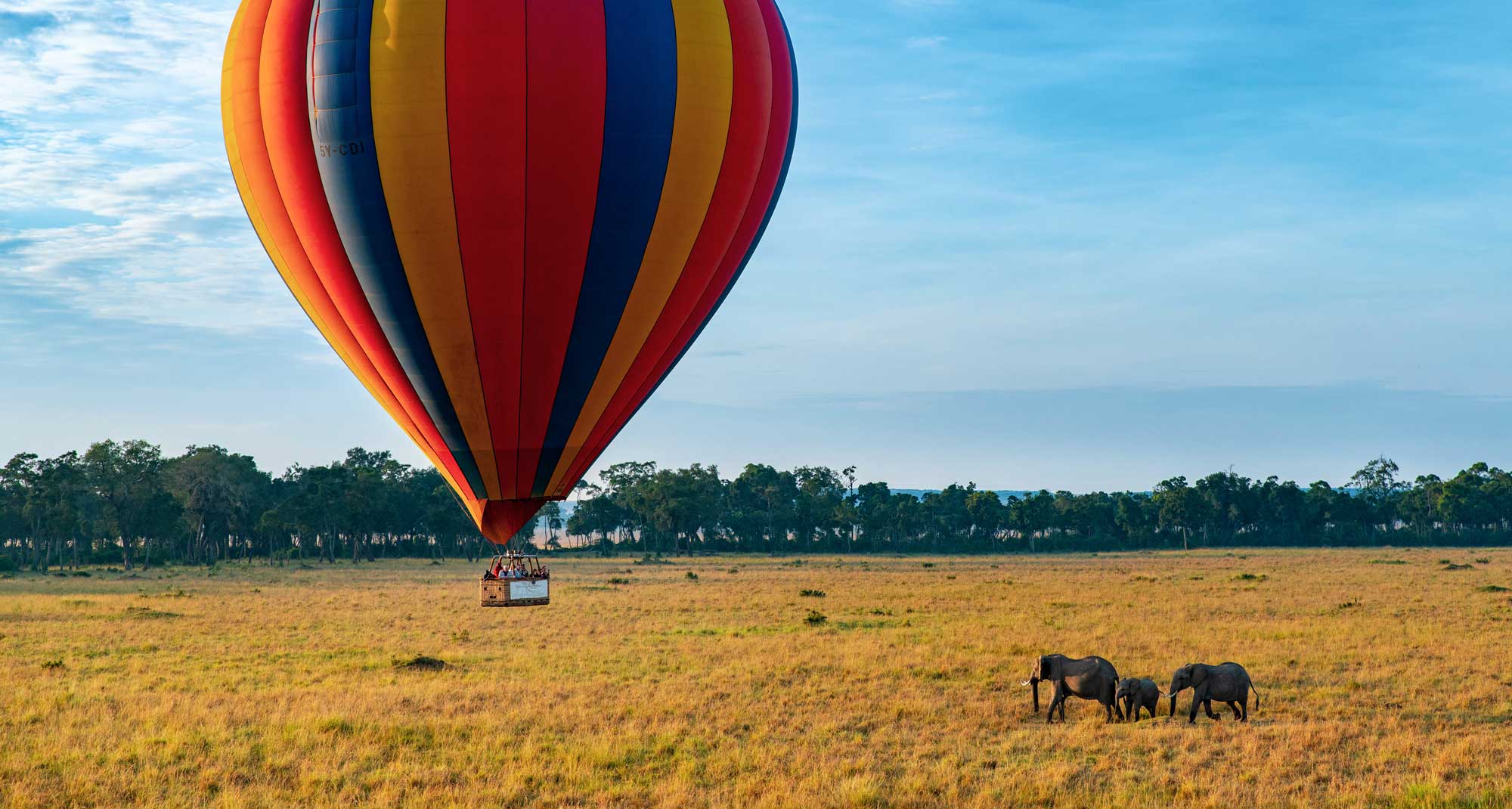 Sky-High Safari
