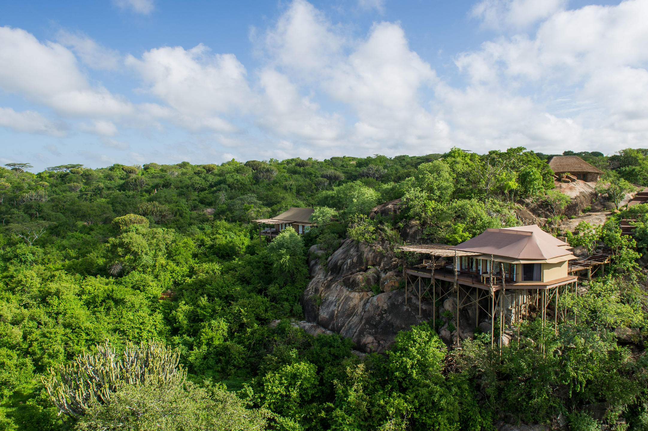 Mwiba Lodge