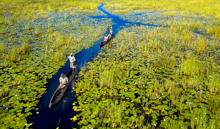 Guests guided in mokoros (traditional dugout canoes) through the tranquil waterways of the Okavango Delta at Xigera Safari Lodge.